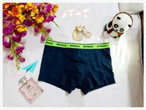 🇭🇲💫Athena Imported Bottom Wear