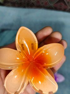 Beautiful Floral Cluture with Vibrant color