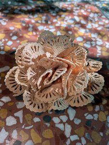 Elegant Flower Hair Accessories