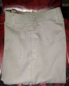 Beige Pleated Pants