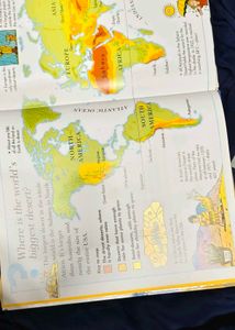 I Wonder Why Children's Book