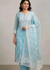 Elegant organza dress material