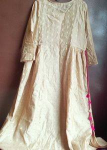 An Ethenic Women Gown