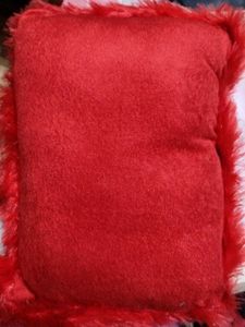 A Soft Teddy Pillow