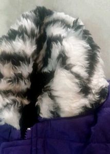 Cute Purple Kids Jacket