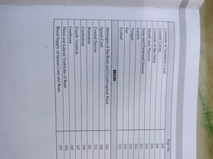 Completed Anatomy Practical Workbook For Reference