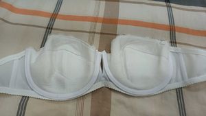 Light Padded Cotton Lace Bra..