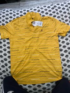 Louis Philippe Yellow Striped T-Shirt