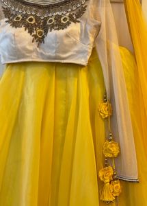 Embroidered Lehenga Choli