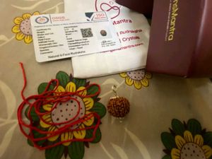 Natural 6-Face Rudraksha (छह मुखी रुद्राक्ष)