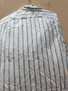 Striped Short Sleeve Button Down