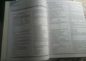 Momentum Booster Class 12