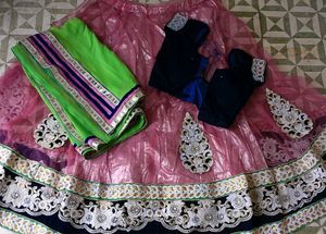 Elegant Lehenga Choli Set