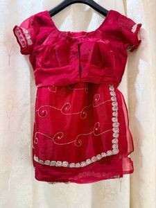 Red Handwork Jimmy Choo Fabric Saree