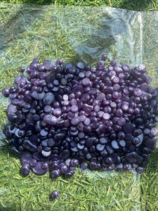 Strip less Wax Beans