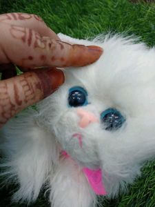 Cat Cuite Soft Toy