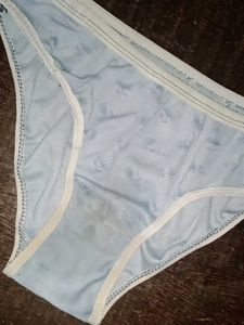 Brief
