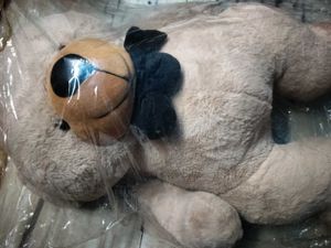 Teddy Bear 🧸🧸🧸