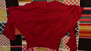Red Long Sleeve Top