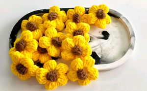 Daisy Crochet Appliques