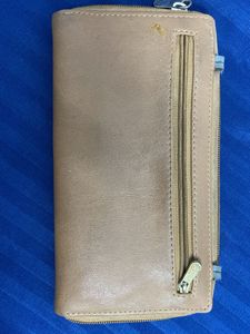 Baggit Wallet/purse