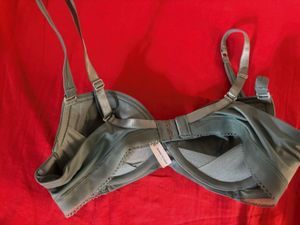 NEW Kenneth Cole T Shirt Bra