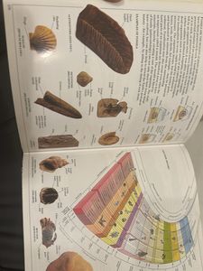 DK Ultimate Visual Dictionary