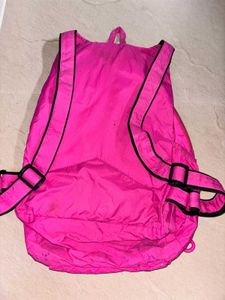 Y2k Pink School / College Backpack
