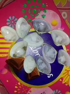 10 Original Sea Shells.....