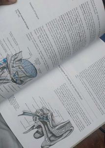 Cunningham&#39;s Anatomy Manual Vol 3