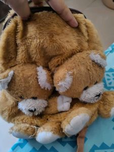 Teddy Bear bag for Kids