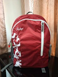Skybags Bagpack