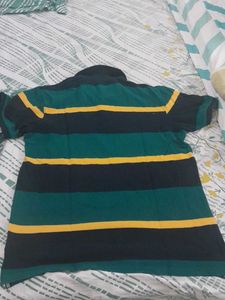 Striped Polo Shirt