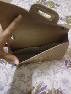 Elegant Sling Bag