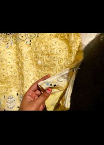 Embroidered Lehenga &amp; Choli