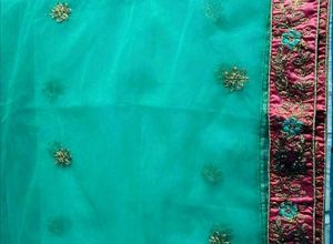 Elegant Lehenga Choli