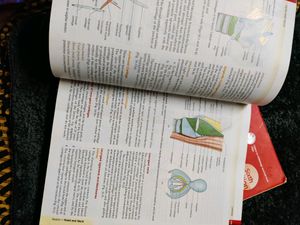 Combo BD CHAURASIA ANATOMY TEXTBOOK PART - 2&amp;3