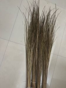 Natural Broom Grass