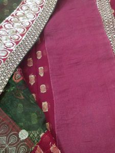 Elegant Embellished Saree