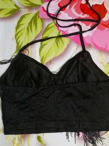 (1104)Fringe Festival Top