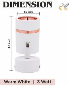 LED Wall Spotlight Warm