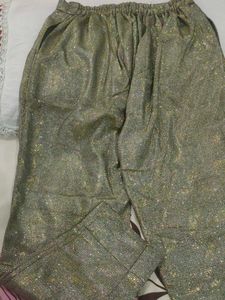 Siny Party Wear Ledies Pant