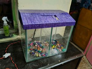 Fish Tank