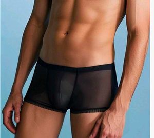 Sheer Mesh Boxer Briefs