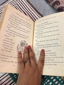Horrid Henry Book