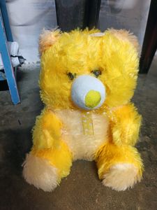 Cute  Two Teddy