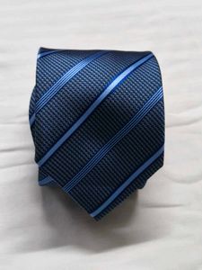 Kingfisher Men Blue Striped Tie