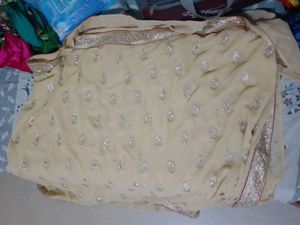 Elegant Embellished Saree