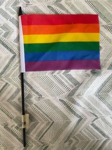 Set Of 2 Rainbow Flags