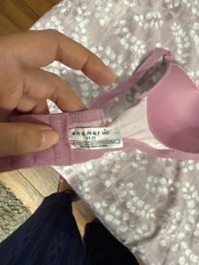 Enamor Padded Non Wired Bra